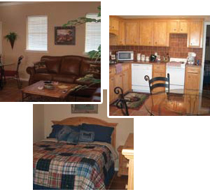 The Cottage