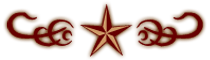 Texas Star BB Logo